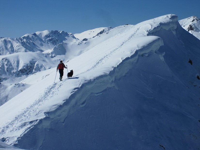 One man and his dog. Cima Pastronezze, 2300m Lagorai Range, Italy. Ski Touring  © Kean