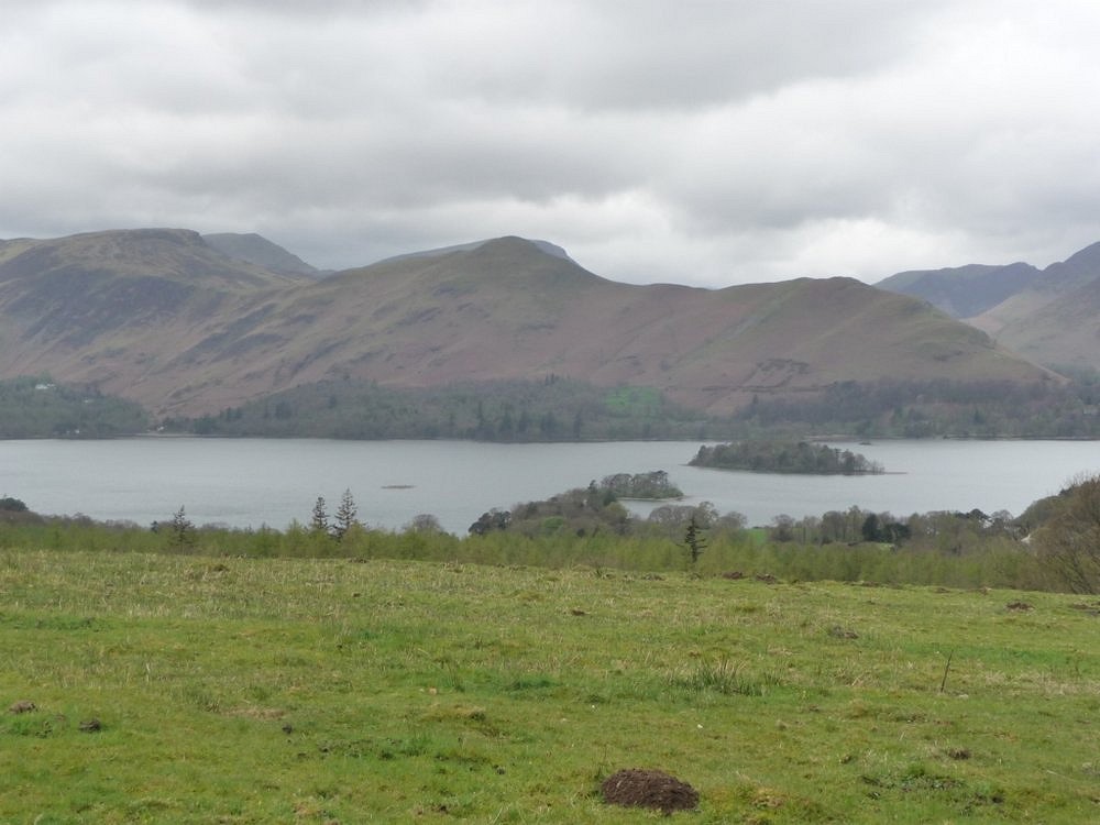 Shapely Catbells on a dull day  © nigelrunner