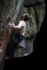 Matt Reeve on Crouching Tiger, Kyloe in the Woods