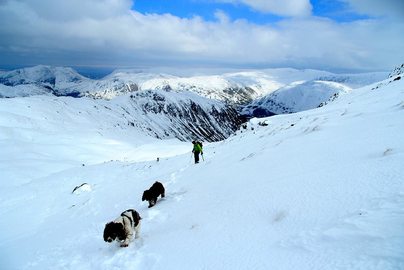 Dogs and dad enjoying the snow  © joe.91
