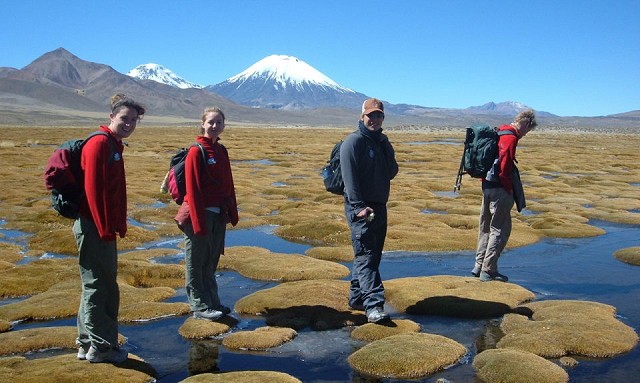 A group exploring the Altiplano of Northern Chile  © Rebecca Coles