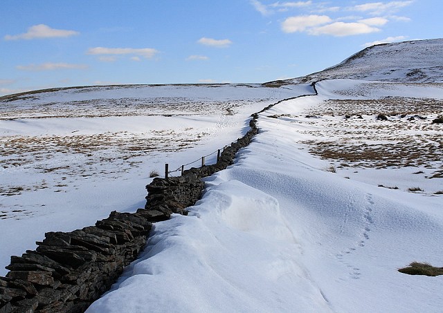 Swarth Fell: Right of the wall it's National Park, left it isn't  © Dan Bailey