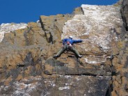 Sy Finch on the second ascent of 'Round and Round went the Great Big Wheel' E2 5b***