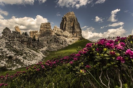 Summer bloom at Cinque Torri  © James Rushforth