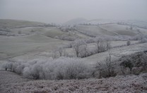 Frost below Willstone Hill