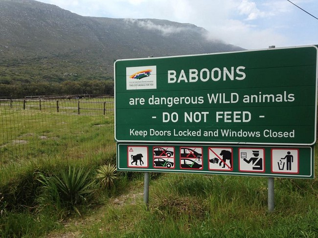 South Africa's objective dangers  © Hazel Findlay