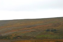 Badger Gill from the North East (top of the hill opposite).