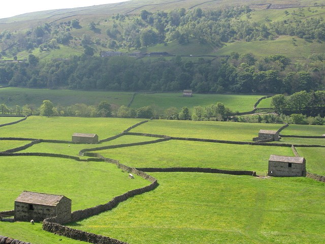 Barns in a landscape - better as suburbia? Not according to the YDNPA  © Yorkshire Dales National Park Authority