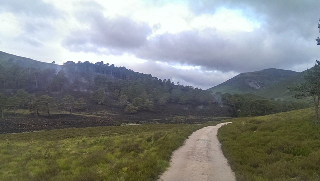 The woods were still smouldering this morning in Glen Lui  © David Frew NTS