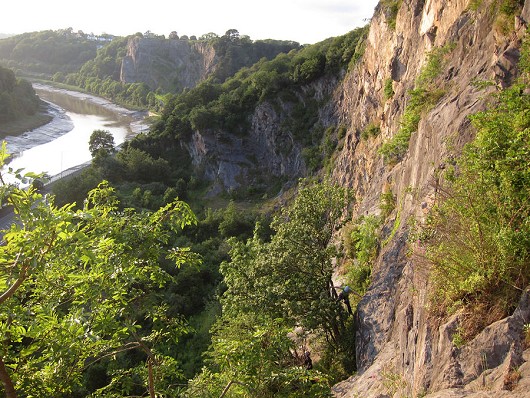 Making the novel step-out-of-the-tree first move of Petros at Avon Gorge Main Area  © Stephen Bartle