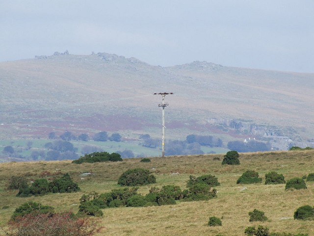Walkhampton Common - better without the power lines  © Dartmoor National Park Authority