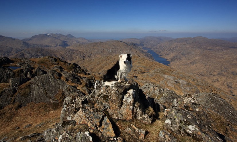 Loch Beoraid from Sgurr an Utha on a hazy April morning with ma wee pal.  © JCameron