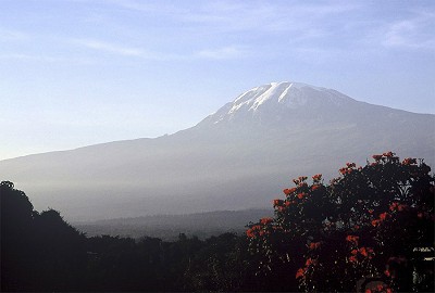 Kilimanjaro from Moshi  © Bcook