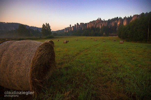 The core of the Adršpach forest of towers at dawn  © Claudia Ziegler