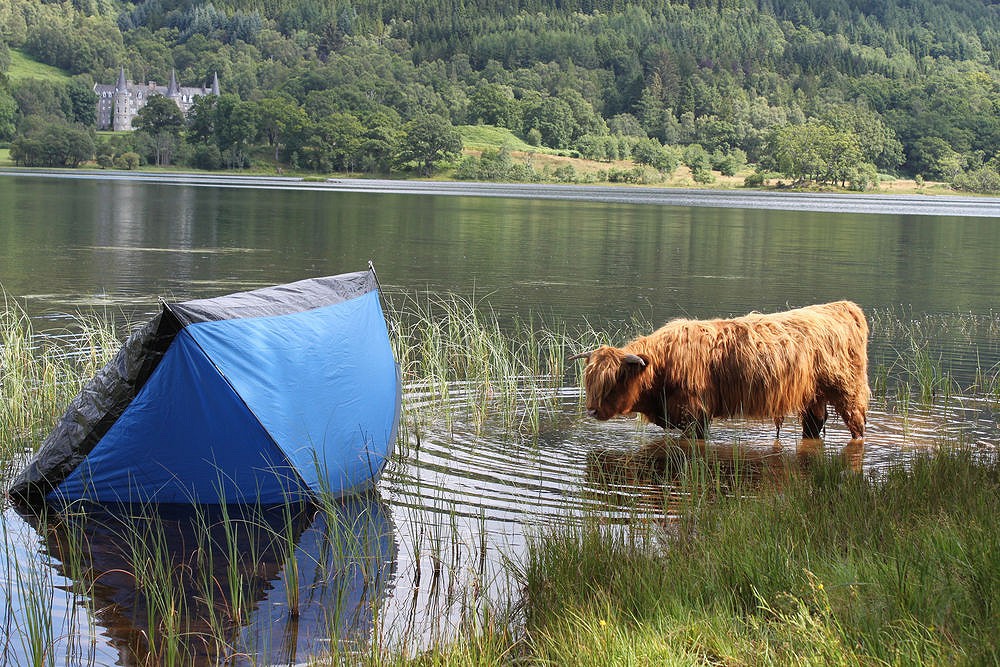 A local unimpressed by the littering at Loch Achray  © Loch Lomond and the Trossachs National Park Authority