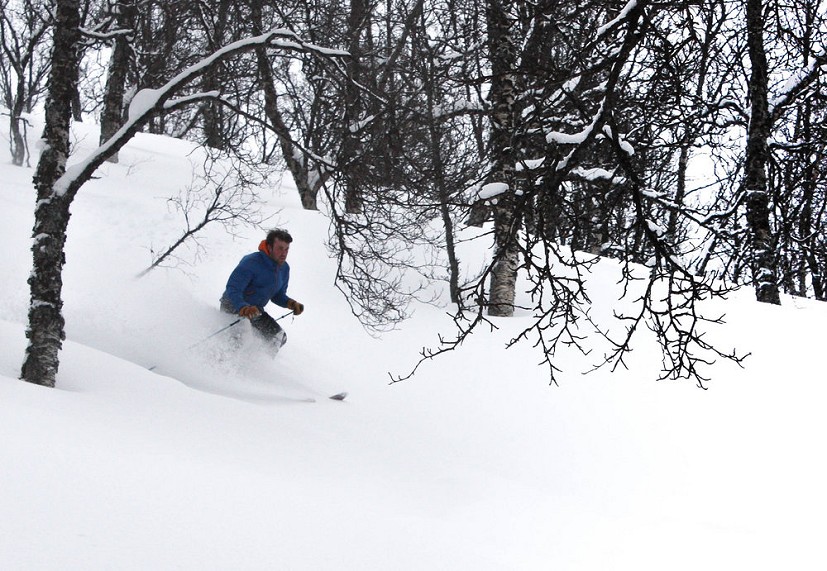 Mike savouring the tree skiing  © Will Nicholls
