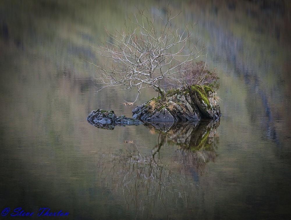 Stickle tarn island  © Steve Thexton