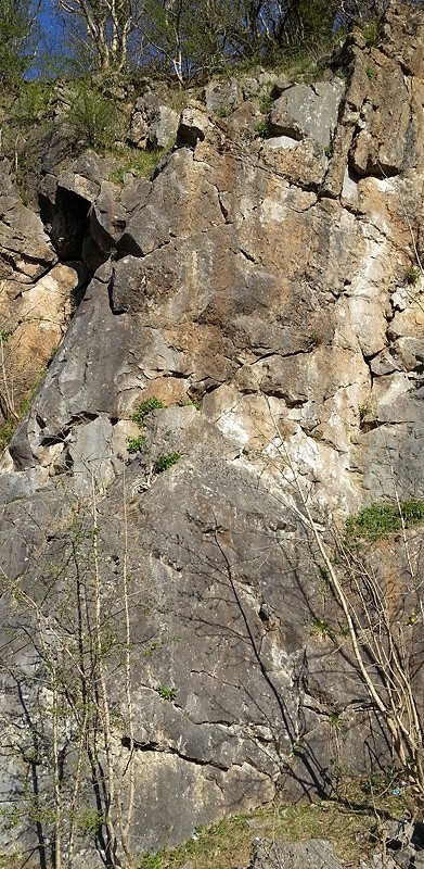 Bector Wood (The Holcombe Quarries.  Mistress of Measurement 6a+