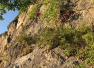 Neil on Bob's climb