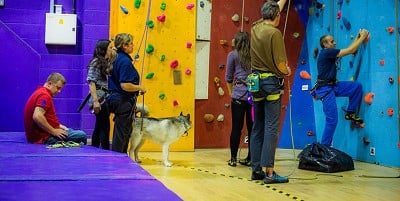 Main Indoor 8m Wall busy with members  © Andy Caley