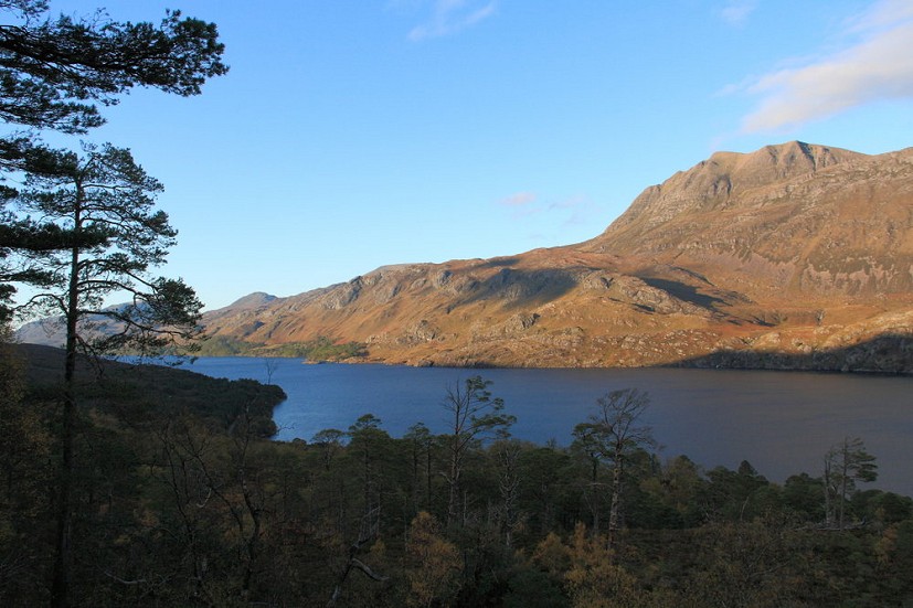 A rare fragment of native woodland by Loch Maree. Re-wilding would give us more places like this  © Dan Bailey
