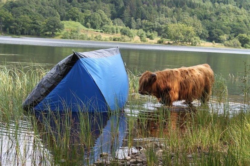 Abandoned tent at Loch Achray  © Loch Lomond and The Trossachs National Park