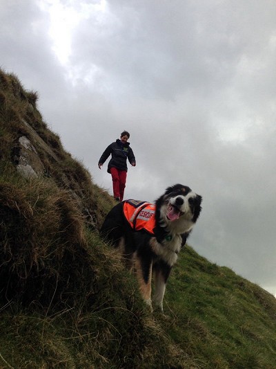 Joy and Einich out training in the Kirkstone Pass  © Lake District Mountain Rescue Search Dogs