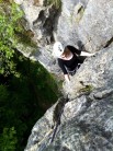 Barn owl crack in chudleigh with Tom drew