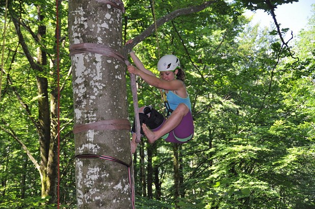 Tree-climbing: therapy for the mind and body  © Alexis Zajetz
