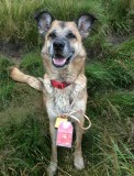 Milly rightly chuffed with her golden nut at ramshaw crack
