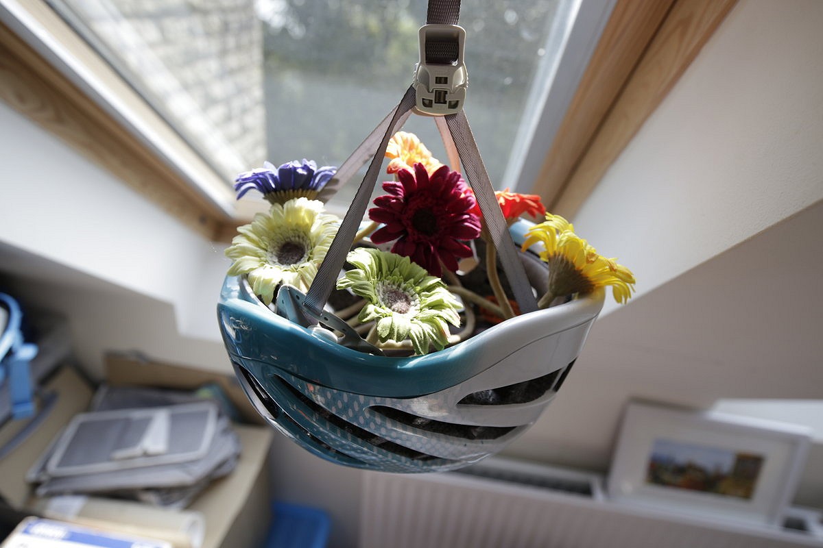 Hanging helmet flower basket  © Natalie Berry