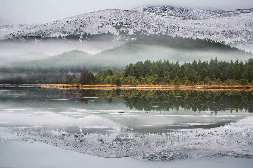 Loch Morlich  © AdrianC