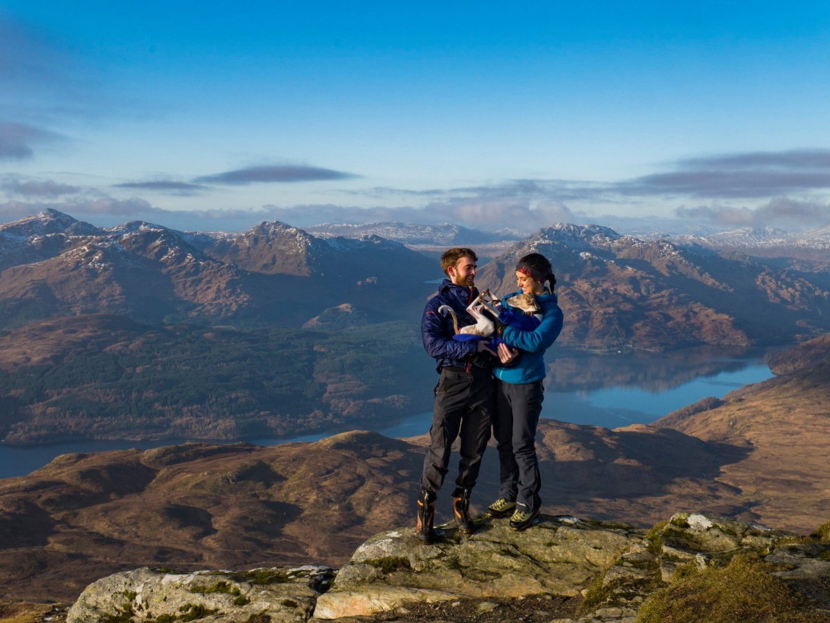 Wispa and some humans on Ben Lomond  © Fiona Russell