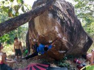 Unknown climber trying Pinker tips on the T Rex boulder, Meadow sector , Nam Phong, NE Thailand.