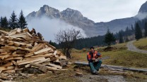 Forestry work - Oberalp