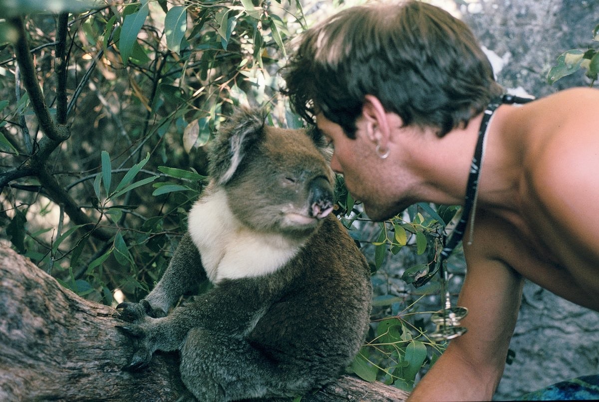 Andy makes friends with a koala. (Andy's the one on the right)  © Andy Pollitt