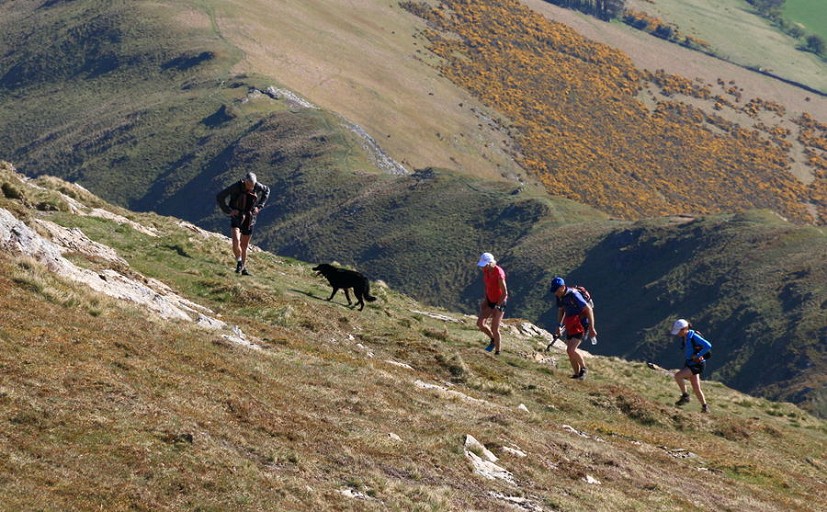 Some very experienced fell runners, conspicuously NOT running the uphills  © Dan Bailey