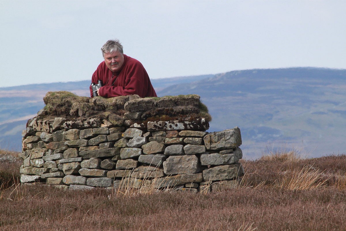 Dr Mark on a grouse moor, hunting for raptors in vain  © Mark Avery
