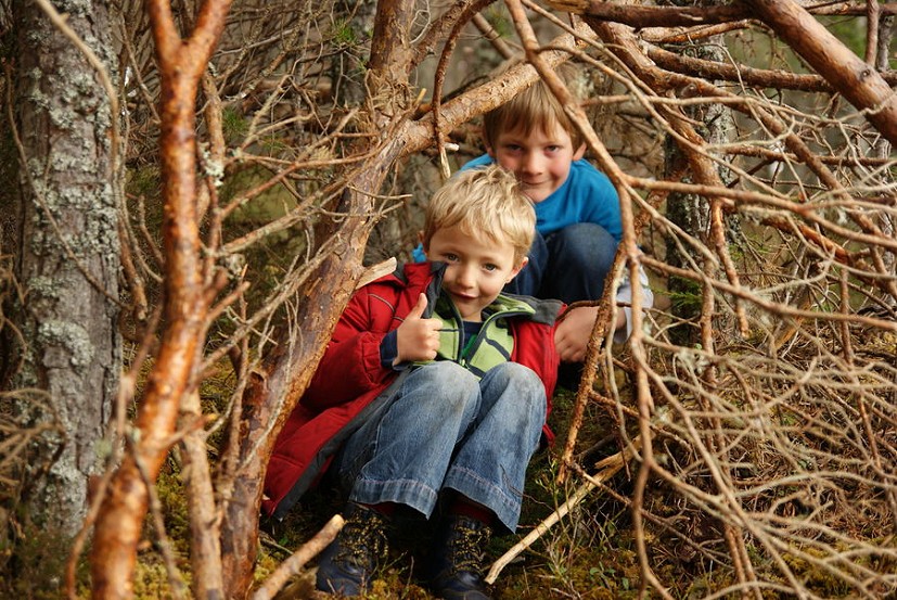 Antonia's tree-loving kids  © Antonia Kearton