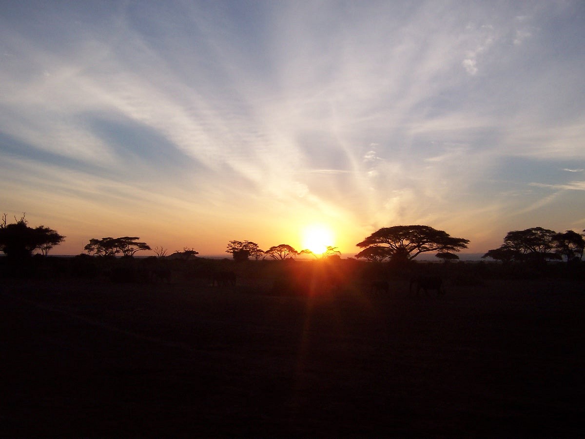 Amboselli sunset  © Staysky