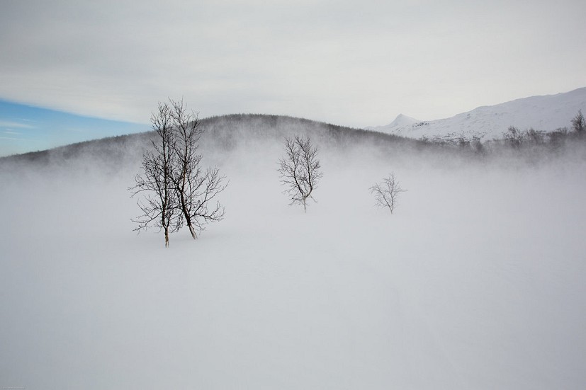 An Arctic white-out.  © Robert Nickelsberg