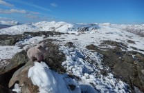 Sgiath Chuil summit with Ben chillum and Meall Glas and Beinn Cheathaich