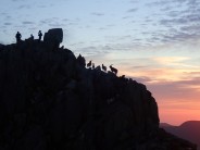 Goats summiting Tryfan at sunrise