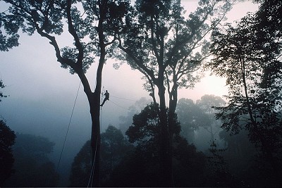 James in Borneo in 2004.  © Cede Prudente