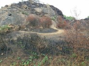 Markfield Quarry , it looks like a party fire started this one.