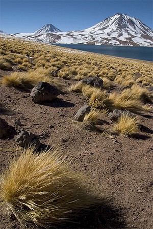 Lake Miscanti, San Pedro de Atacama, Chile  © stuart littlefair