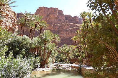 In the amazing Ait Mansour Gorge  © David Wood