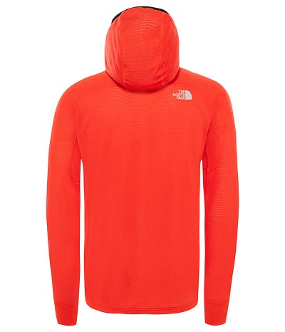 Summit L2 Proprius Grid Fleece Hoodie Back  © The North Face