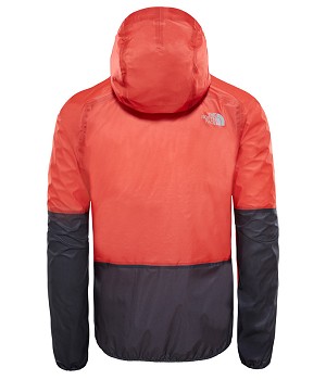 The North Face Summit L5 Ultralight Storm Jacket Back  © The North Face