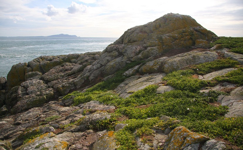 Ynys Arw; a P15 amongst Ynysoedd y Moelrhoniaid (The Skerries) which are situated to the north-west of Ynys Môn (Anglesey  © Myrddyn Phillips